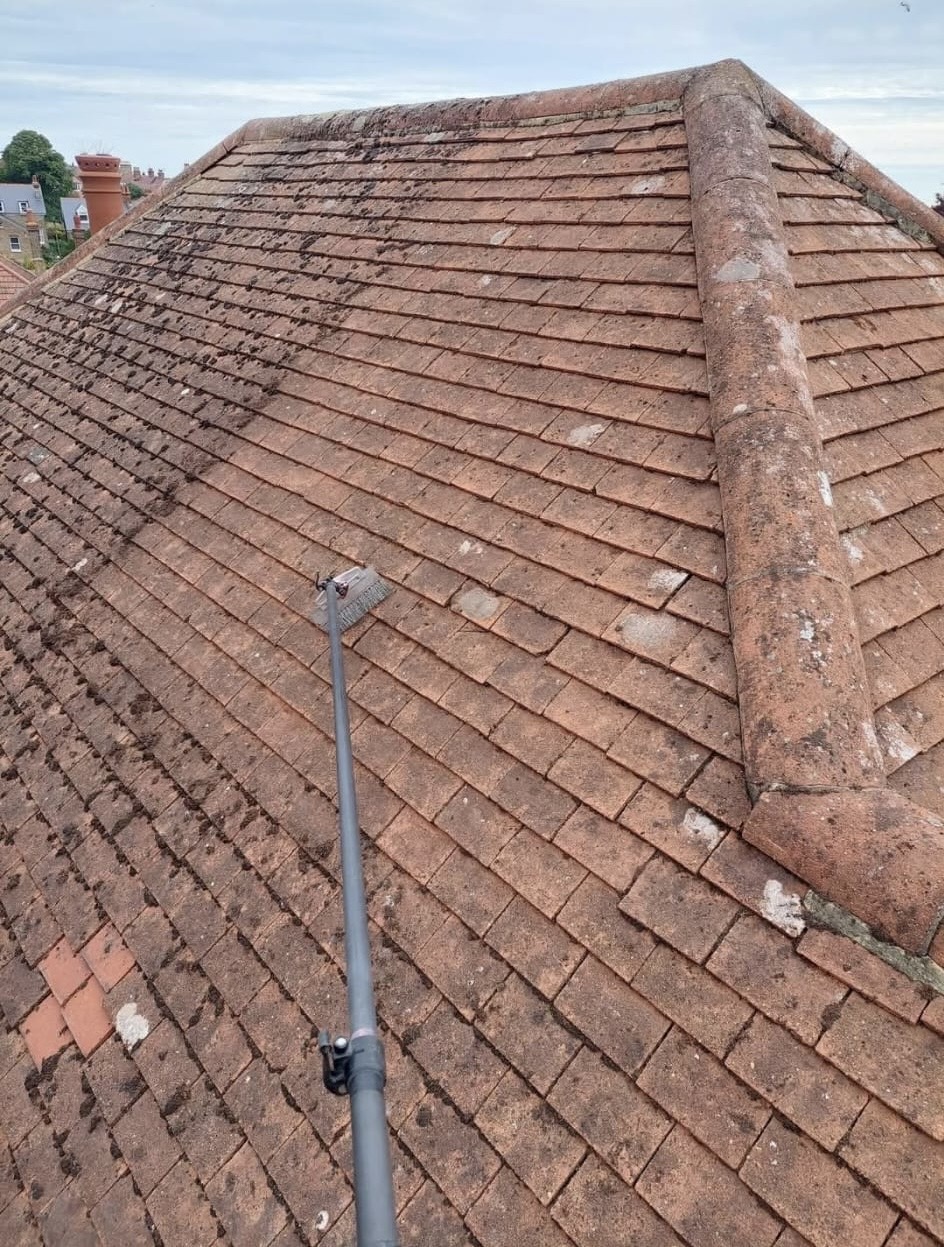 Professional Service